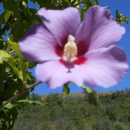 Giamia -rural Italy Paradise