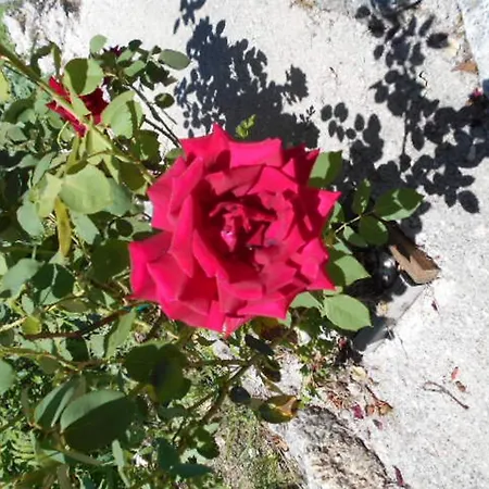 Giamia -rural Italy Paradise * Sulmona