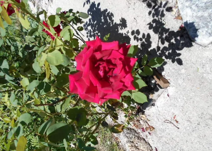 Giamia -rural Italy Paradise * سولمونا